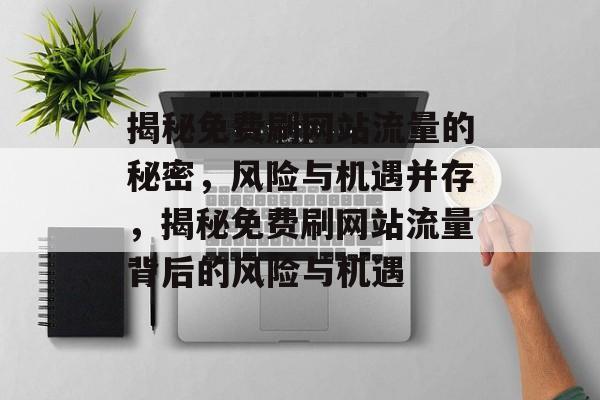 揭秘免费刷网站流量的秘密，风险与机遇并存，揭秘免费刷网站流量背后的风险与机遇