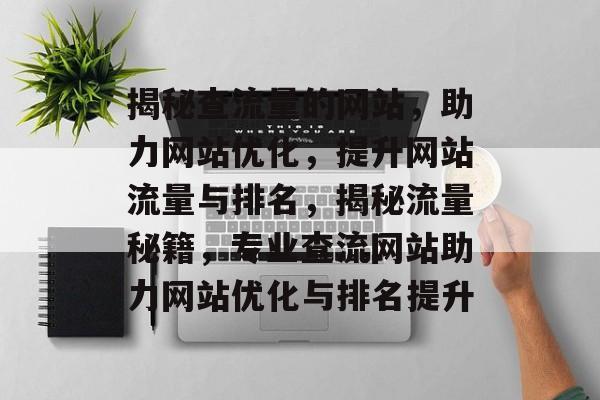 揭秘查流量的网站，助力网站优化，提升网站流量与排名，揭秘流量秘籍，专业查流网站助力网站优化与排名提升