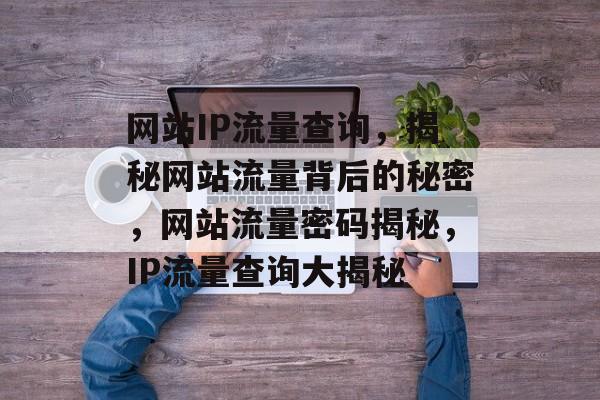 网站IP流量查询，揭秘网站流量背后的秘密，网站流量密码揭秘，IP流量查询大揭秘