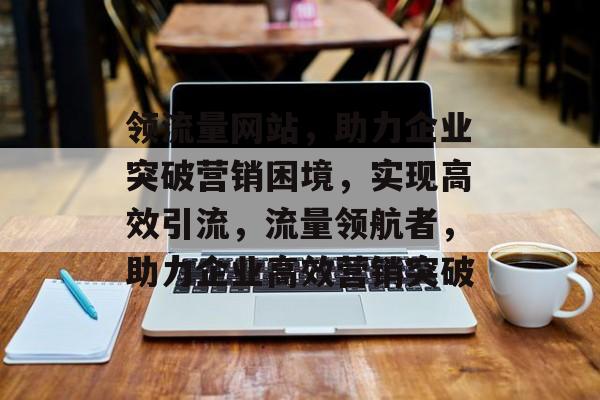 领流量网站，助力企业突破营销困境，实现高效引流，流量领航者，助力企业高效营销突破