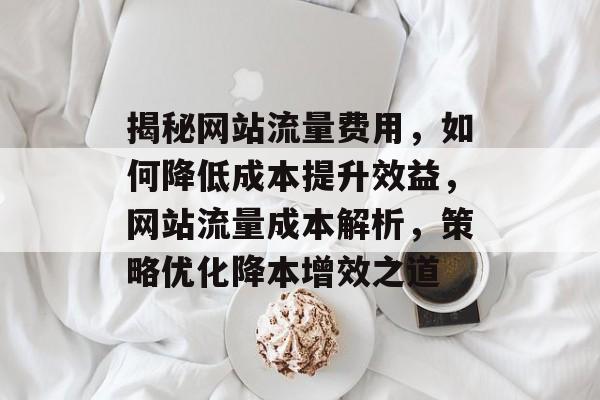 揭秘网站流量费用，如何降低成本提升效益，网站流量成本解析，策略优化降本增效之道