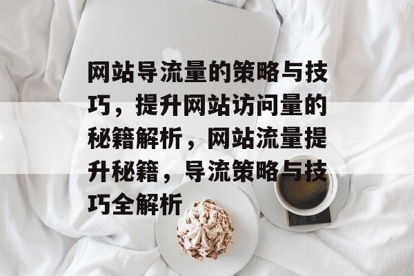 网站导流量的策略与技巧，提升网站访问量的秘籍解析，网站流量提升秘籍，导流策略与技巧全解析