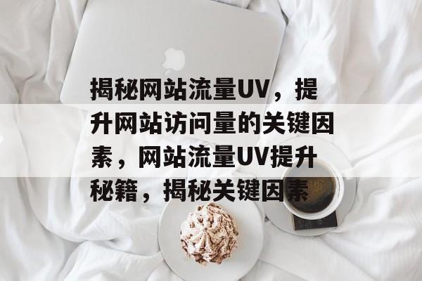 揭秘网站流量UV，提升网站访问量的关键因素，网站流量UV提升秘籍，揭秘关键因素
