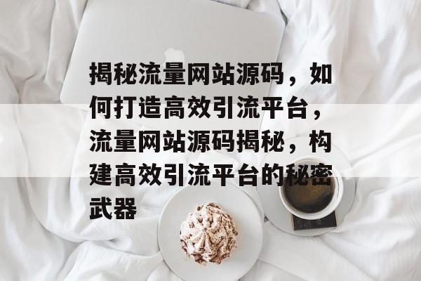 揭秘流量网站源码，如何打造高效引流平台，流量网站源码揭秘，构建高效引流平台的秘密武器
