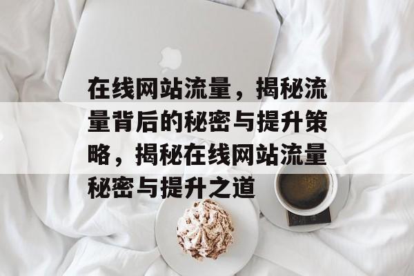 在线网站流量，揭秘流量背后的秘密与提升策略，揭秘在线网站流量秘密与提升之道