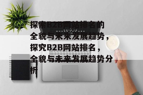 探索B2B网站排名的全貌与未来发展趋势，探究B2B网站排名，全貌与未来发展趋势分析