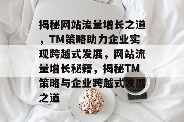 揭秘网站流量增长之道，TM策略助力企业实现跨越式发展，网站流量增长秘籍，揭秘TM策略与企业跨越式发展之道