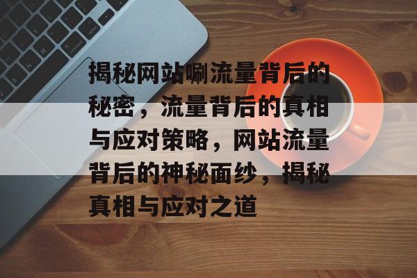 揭秘网站唰流量背后的秘密，流量背后的真相与应对策略，网站流量背后的神秘面纱，揭秘真相与应对之道