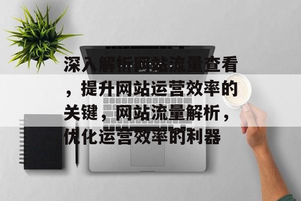 深入解析网站流量查看，提升网站运营效率的关键，网站流量解析，优化运营效率的利器