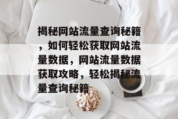 揭秘网站流量查询秘籍，如何轻松获取网站流量数据，网站流量数据获取攻略，轻松揭秘流量查询秘籍