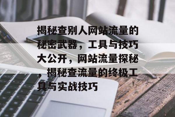 揭秘查别人网站流量的秘密武器，工具与技巧大公开，网站流量探秘，揭秘查流量的终极工具与实战技巧