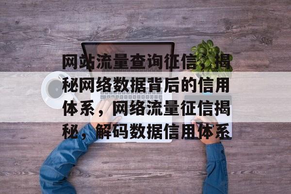 网站流量查询征信，揭秘网络数据背后的信用体系，网络流量征信揭秘，解码数据信用体系