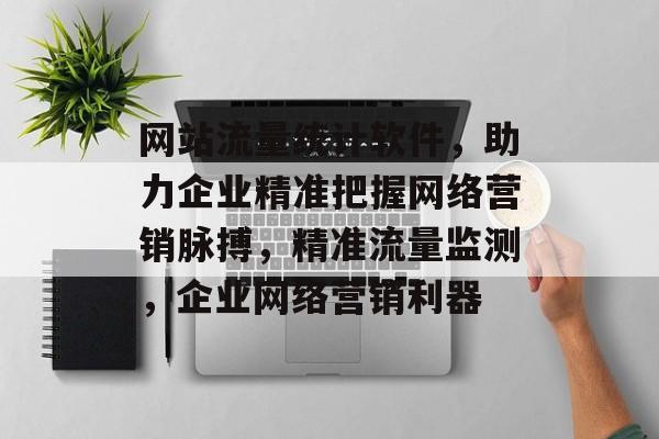 网站流量统计软件，助力企业精准把握网络营销脉搏，精准流量监测，企业网络营销利器