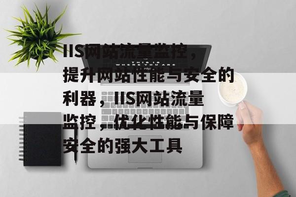 IIS网站流量监控，提升网站性能与安全的利器，IIS网站流量监控，优化性能与保障安全的强大工具
