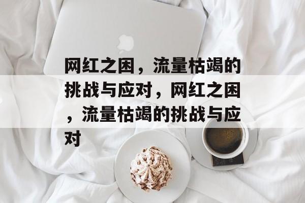 网红之困，流量枯竭的挑战与应对，网红之困，流量枯竭的挑战与应对