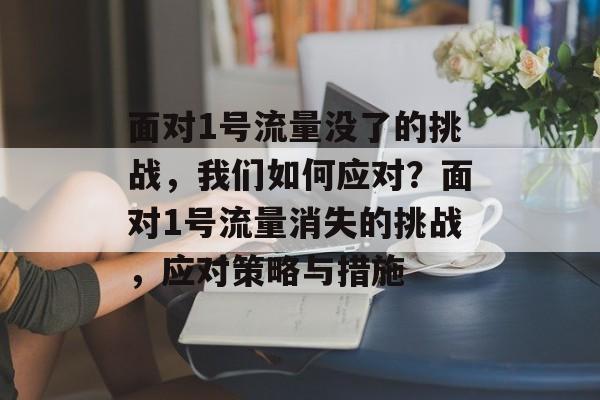 面对1号流量没了的挑战，我们如何应对？面对1号流量消失的挑战，应对策略与措施