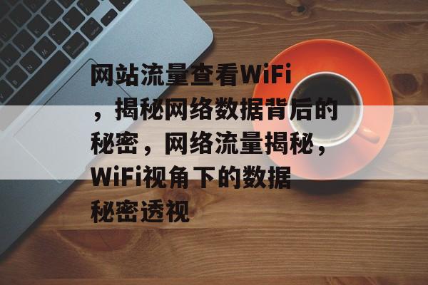 网站流量查看WiFi，揭秘网络数据背后的秘密，网络流量揭秘，WiFi视角下的数据秘密透视