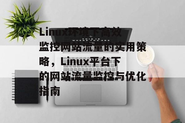 Linux环境下高效监控网站流量的实用策略，Linux平台下的网站流量监控与优化指南