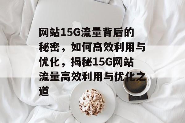网站15G流量背后的秘密，如何高效利用与优化，揭秘15G网站流量高效利用与优化之道
