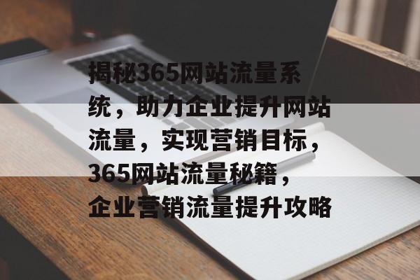 揭秘365网站流量系统，助力企业提升网站流量，实现营销目标，365网站流量秘籍，企业营销流量提升攻略