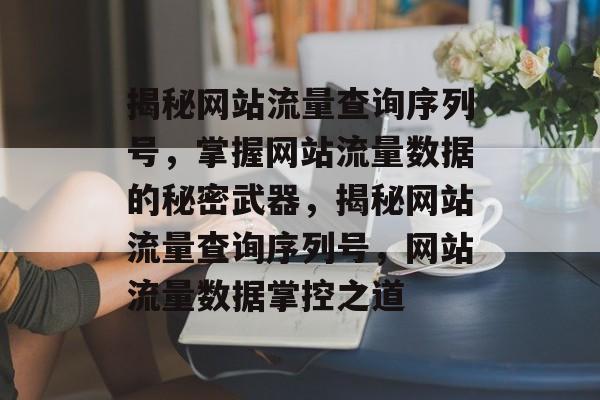 揭秘网站流量查询序列号，掌握网站流量数据的秘密武器，揭秘网站流量查询序列号，网站流量数据掌控之道