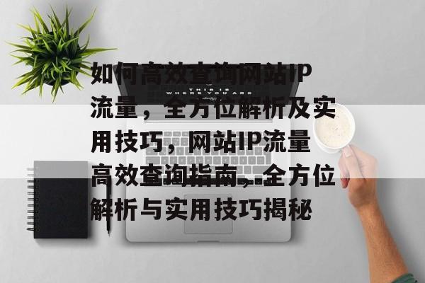 如何高效查询网站IP流量，全方位解析及实用技巧，网站IP流量高效查询指南，全方位解析与实用技巧揭秘