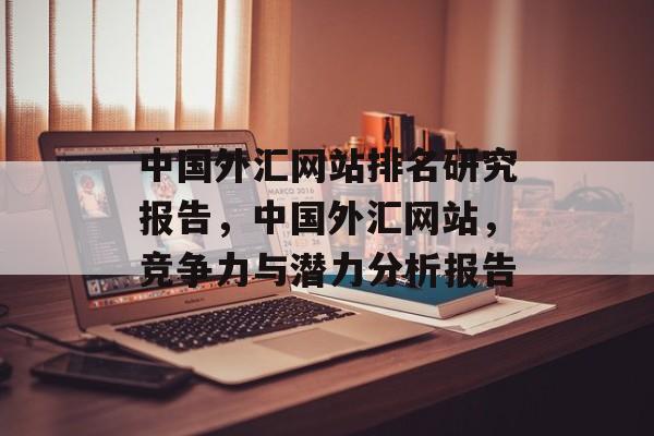 中国外汇网站排名研究报告，中国外汇网站，竞争力与潜力分析报告