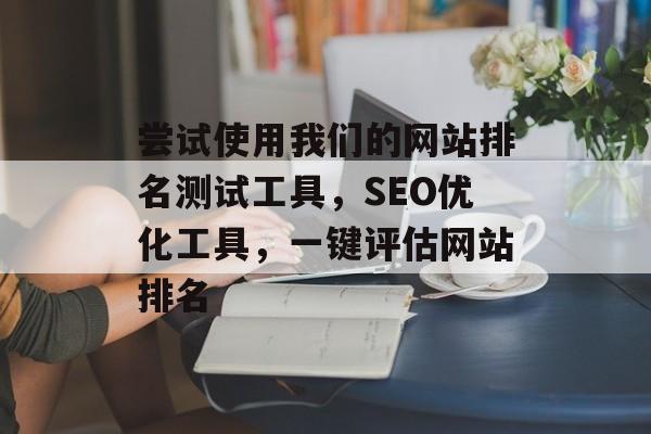 尝试使用我们的网站排名测试工具，SEO优化工具，一键评估网站排名