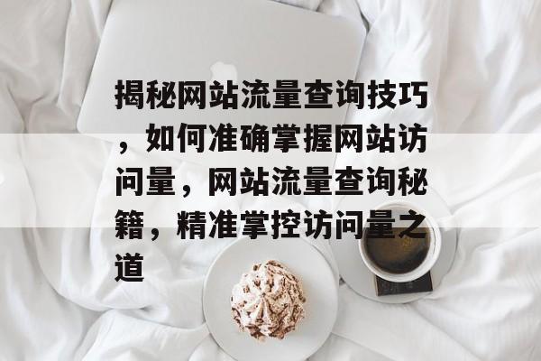 揭秘网站流量查询技巧，如何准确掌握网站访问量，网站流量查询秘籍，精准掌控访问量之道