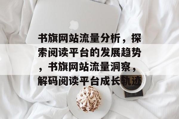 书旗网站流量分析，探索阅读平台的发展趋势，书旗网站流量洞察，解码阅读平台成长轨迹
