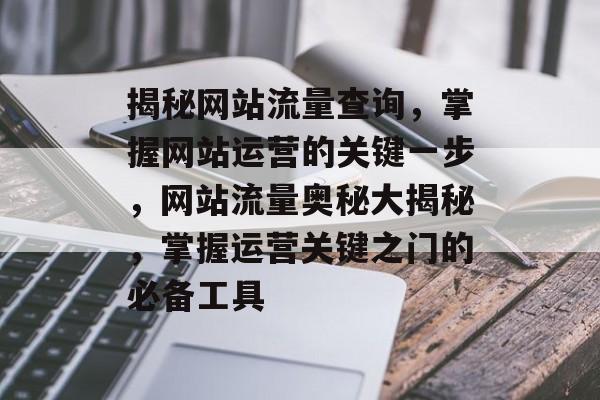 揭秘网站流量查询，掌握网站运营的关键一步，网站流量奥秘大揭秘，掌握运营关键之门的必备工具