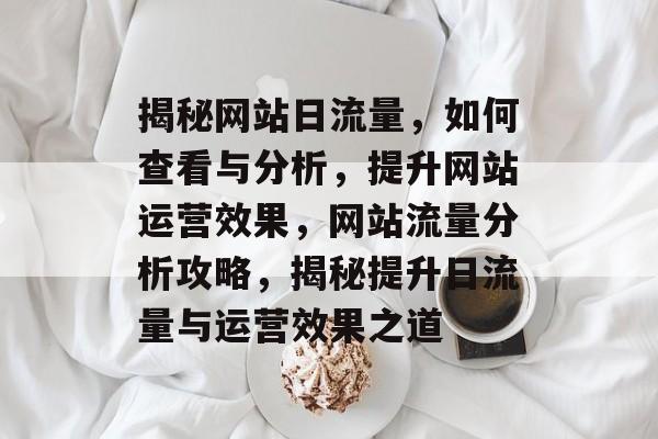 揭秘网站日流量，如何查看与分析，提升网站运营效果，网站流量分析攻略，揭秘提升日流量与运营效果之道