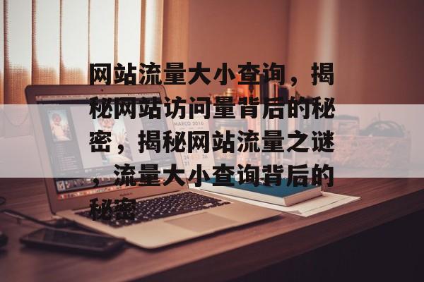 网站流量大小查询，揭秘网站访问量背后的秘密，揭秘网站流量之谜，流量大小查询背后的秘密
