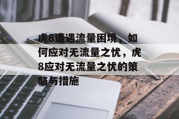 虎8遭遇流量困境，如何应对无流量之忧，虎8应对无流量之忧的策略与措施
