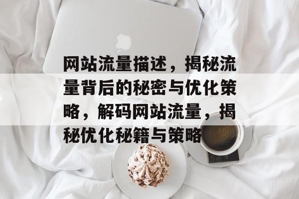 网站流量描述，揭秘流量背后的秘密与优化策略，解码网站流量，揭秘优化秘籍与策略
