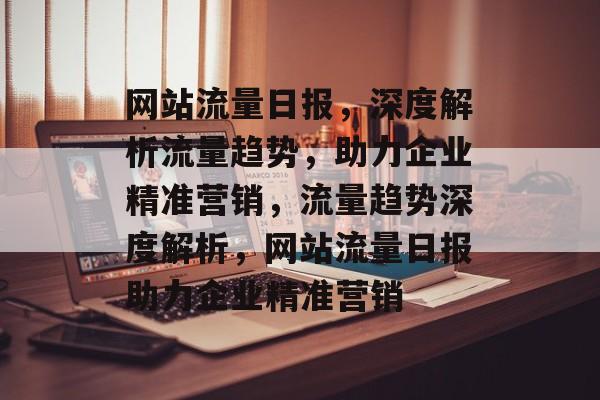 网站流量日报，深度解析流量趋势，助力企业精准营销，流量趋势深度解析，网站流量日报助力企业精准营销