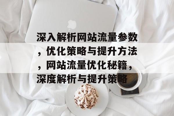 深入解析网站流量参数，优化策略与提升方法，网站流量优化秘籍，深度解析与提升策略