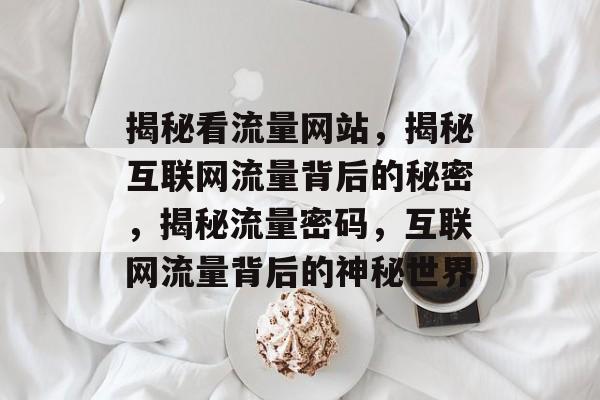 揭秘看流量网站，揭秘互联网流量背后的秘密，揭秘流量密码，互联网流量背后的神秘世界