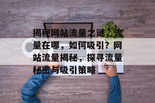 揭秘网站流量之谜，流量在哪，如何吸引？网站流量揭秘，探寻流量秘密与吸引策略