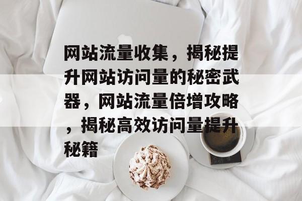 网站流量收集，揭秘提升网站访问量的秘密武器，网站流量倍增攻略，揭秘高效访问量提升秘籍