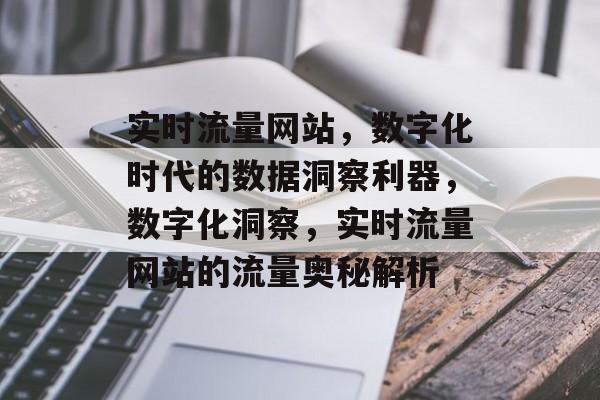 实时流量网站，数字化时代的数据洞察利器，数字化洞察，实时流量网站的流量奥秘解析