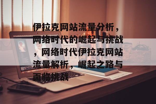 伊拉克网站流量分析，网络时代的崛起与挑战，网络时代伊拉克网站流量解析，崛起之路与面临挑战