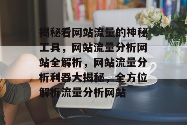 揭秘看网站流量的神秘工具，网站流量分析网站全解析，网站流量分析利器大揭秘，全方位解析流量分析网站
