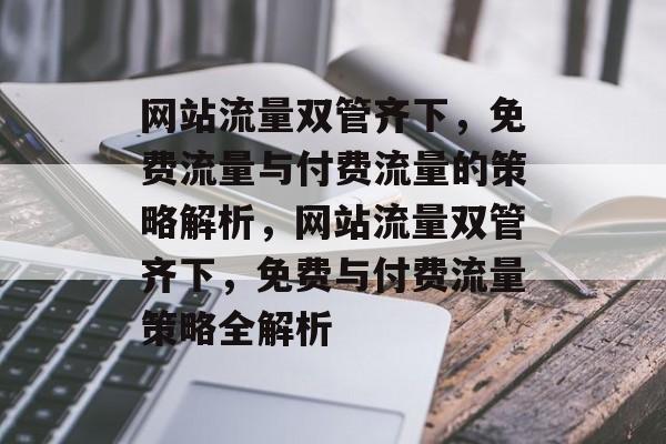 网站流量双管齐下，免费流量与付费流量的策略解析，网站流量双管齐下，免费与付费流量策略全解析