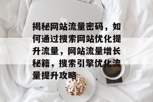 揭秘网站流量密码，如何通过搜索网站优化提升流量，网站流量增长秘籍，搜索引擎优化流量提升攻略