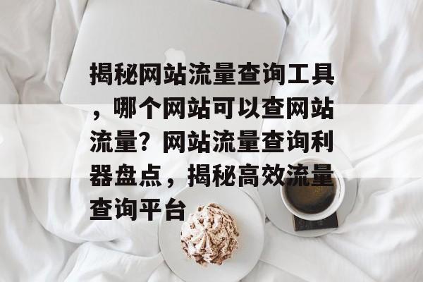 揭秘网站流量查询工具，哪个网站可以查网站流量？网站流量查询利器盘点，揭秘高效流量查询平台