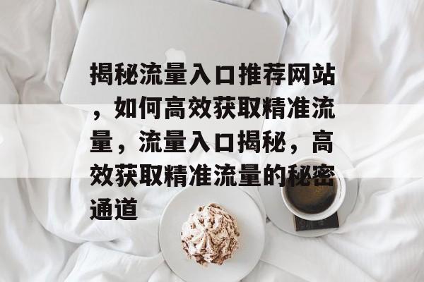 揭秘流量入口推荐网站，如何高效获取精准流量，流量入口揭秘，高效获取精准流量的秘密通道