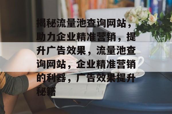 揭秘流量池查询网站，助力企业精准营销，提升广告效果，流量池查询网站，企业精准营销的利器，广告效果提升秘籍