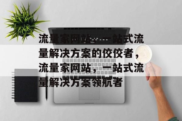 流量家网站，一站式流量解决方案的佼佼者，流量家网站，一站式流量解决方案领航者