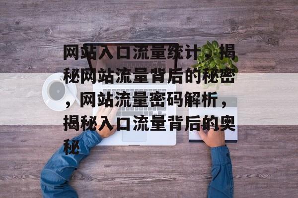 网站入口流量统计，揭秘网站流量背后的秘密，网站流量密码解析，揭秘入口流量背后的奥秘